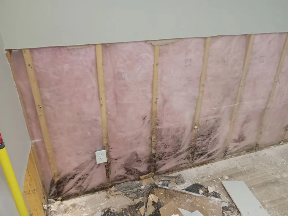 Slide of Approved Pro Environmental