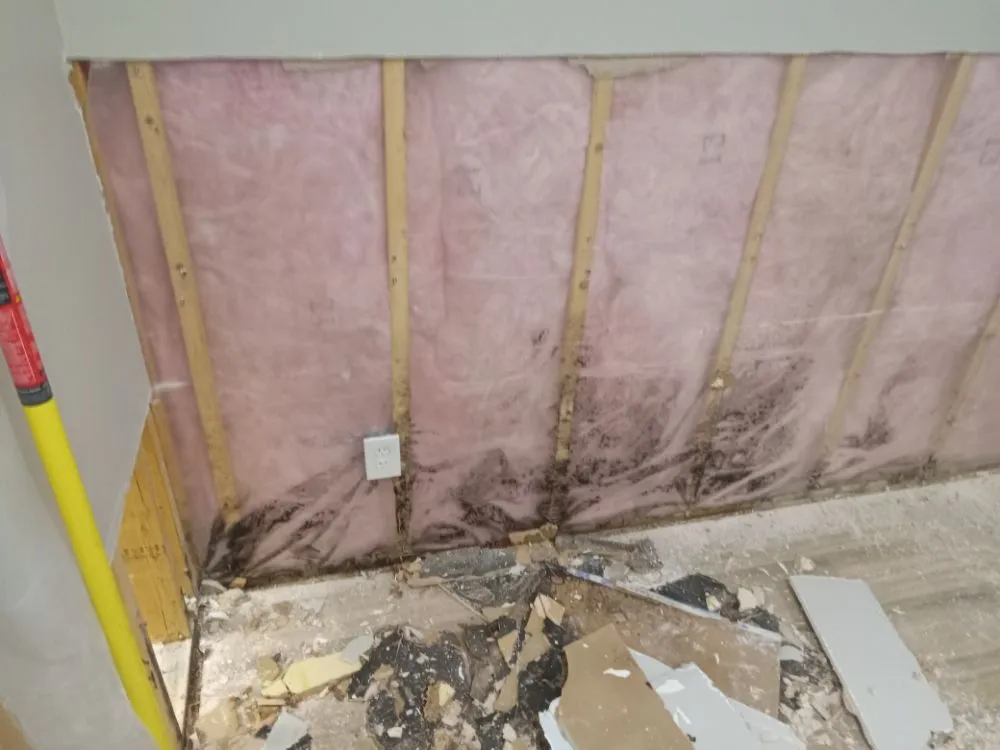 Slide of Approved Pro Environmental