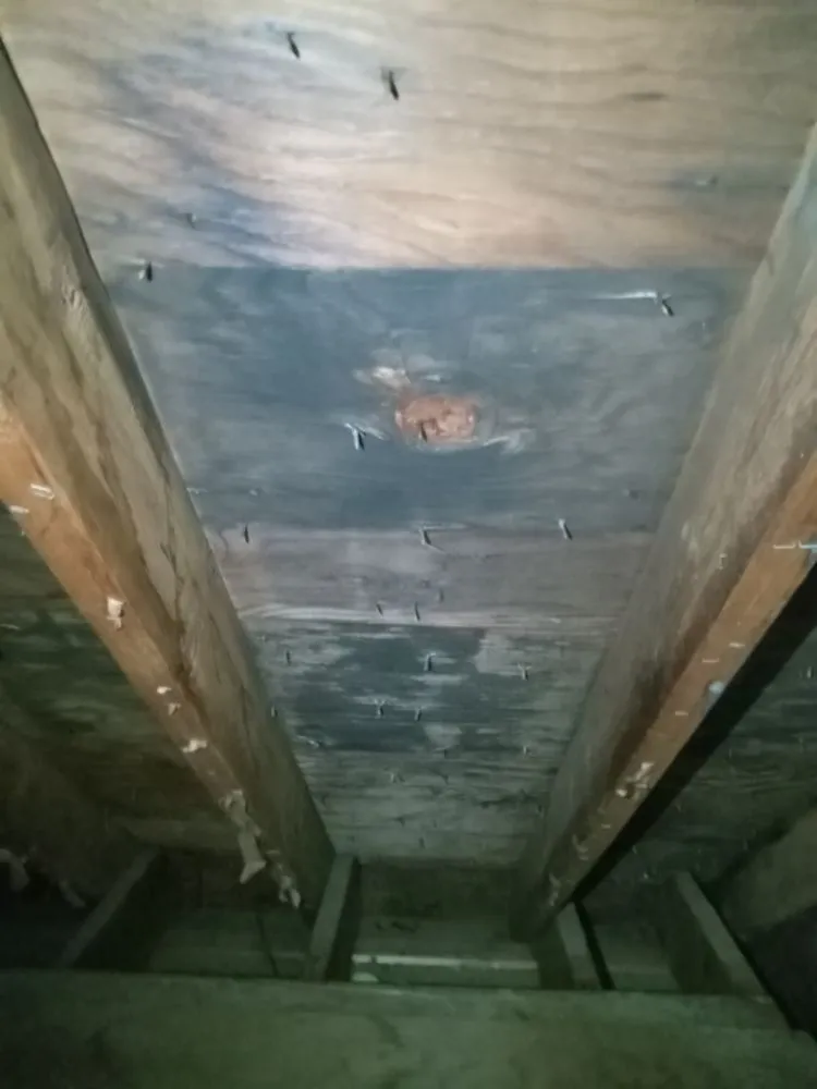 Slide of Approved Pro Environmental