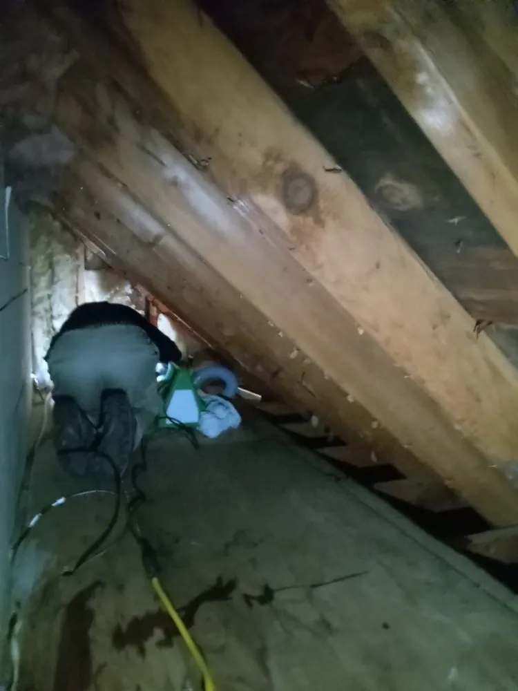 Slide of Approved Pro Environmental