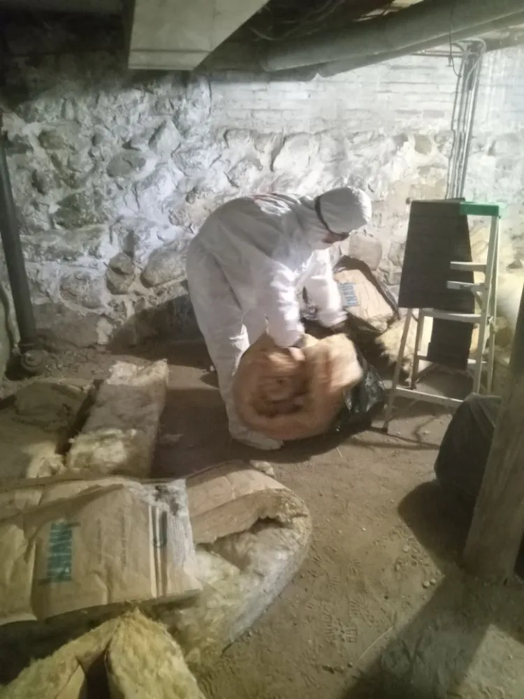 Slide of Approved Pro Environmental