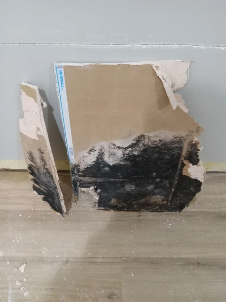 Slide of Approved Pro Environmental