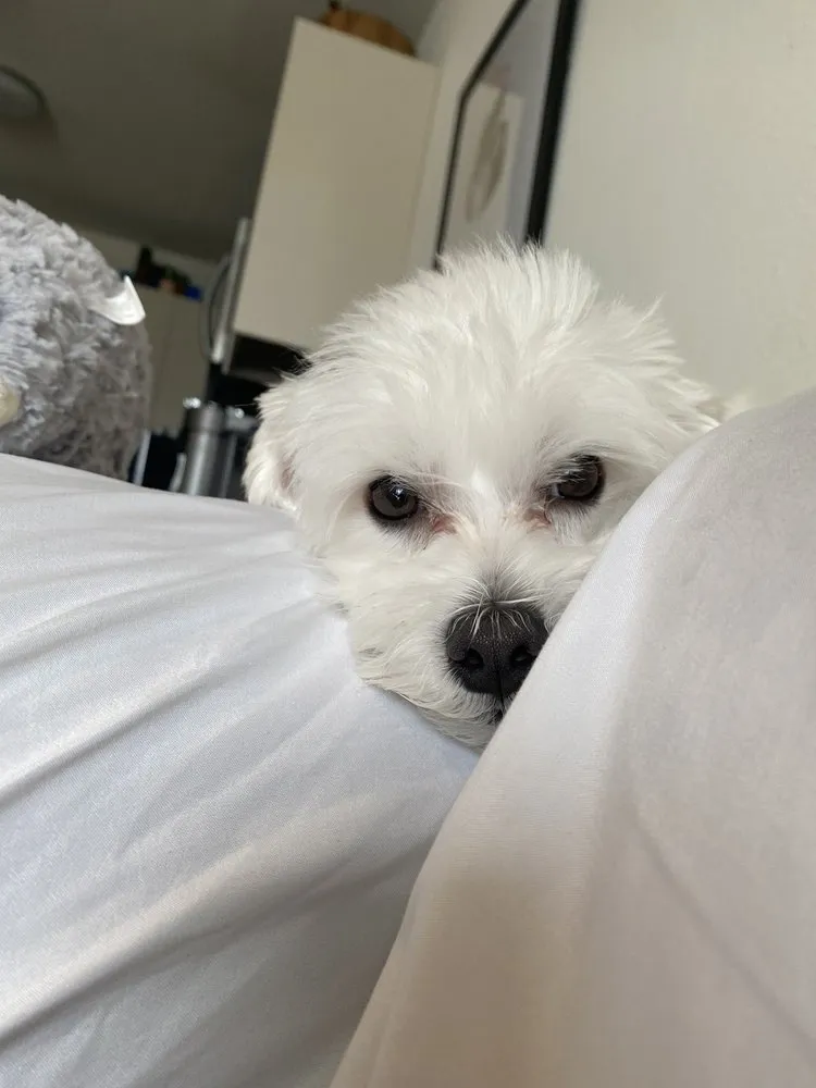 Slide of Aqua AC Clean