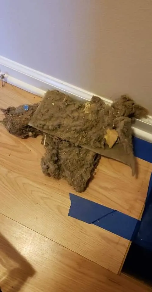 Slide of Aqua Air Duct Cleaning