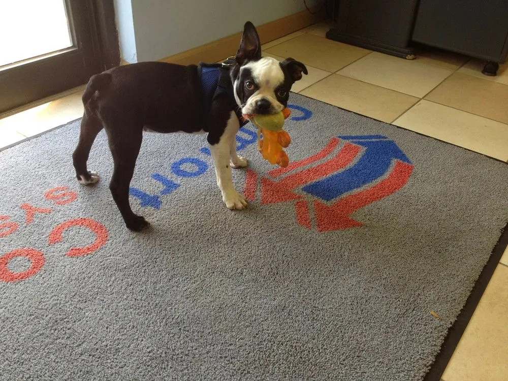 Slide of Aquarius Home Services