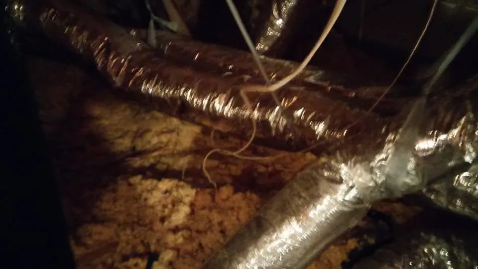 Slide of Arctic Ac and Heat