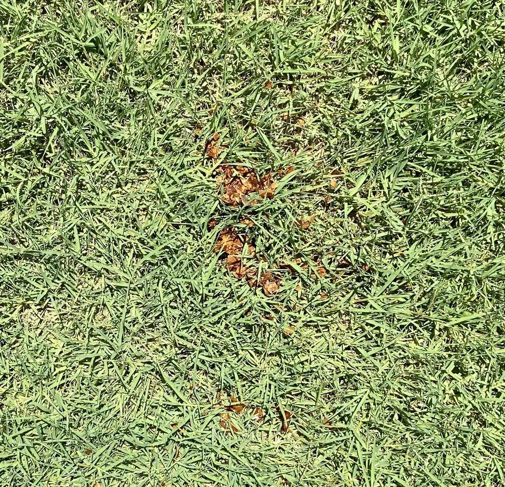 Slide of Arctic Air Conditioning & Heating