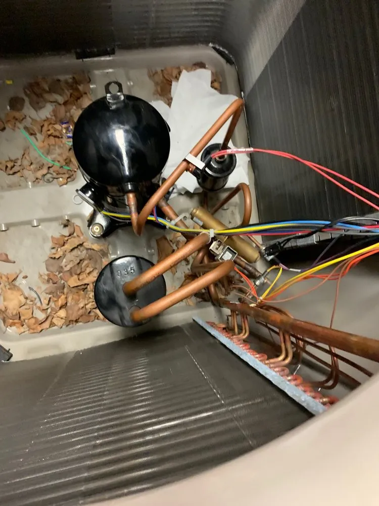 Slide of Arctic Bear Services