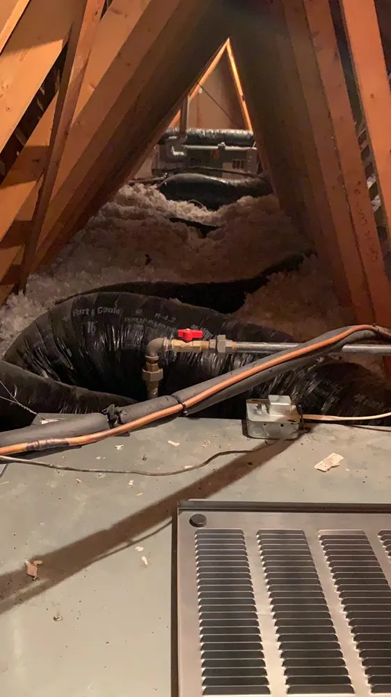 Slide of Arctic Bear Services