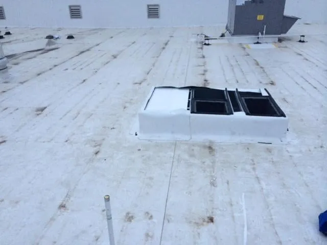 Slide of Arctic Chill