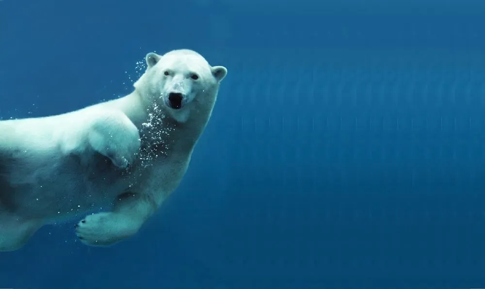 Slide of Arctic Cool Solutions