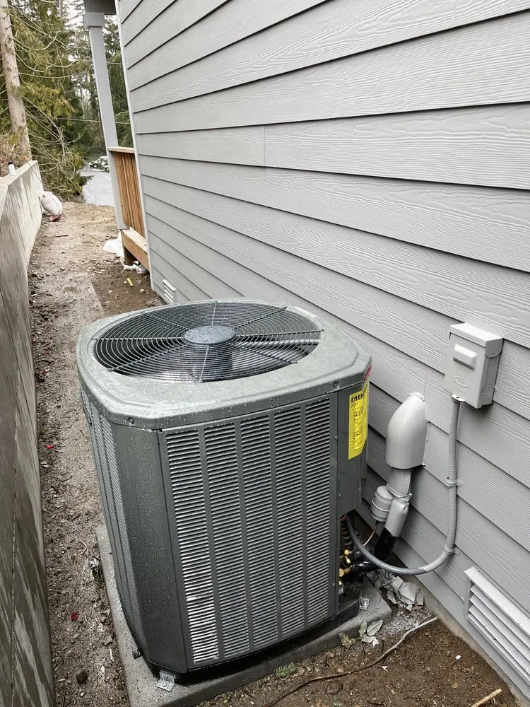 Slide of Arctic Flame