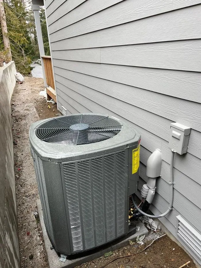 Slide of Arctic Flame