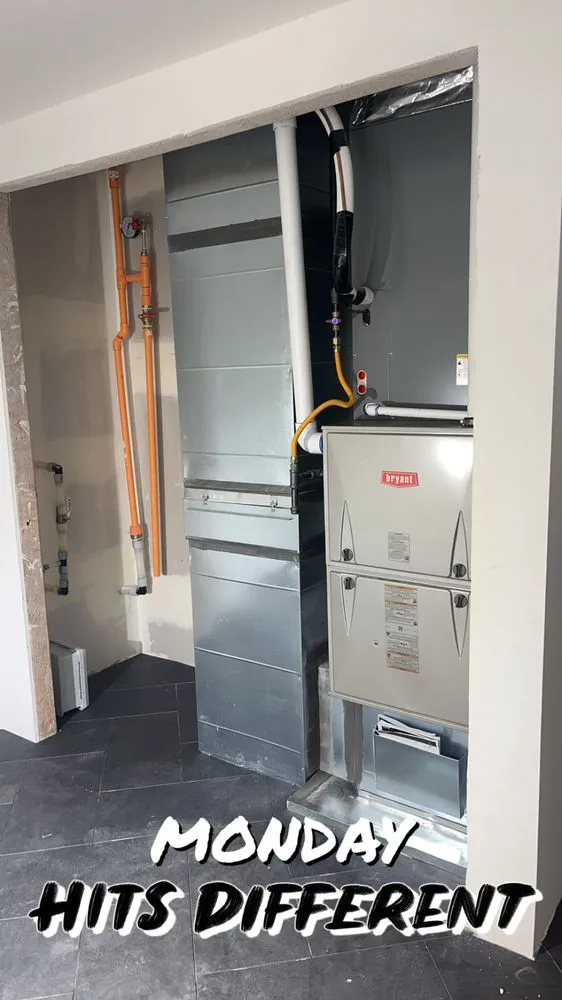 Slide of Arctic Flame