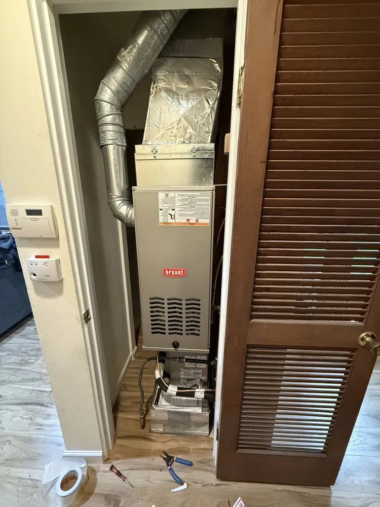 Slide of Arctic Flame