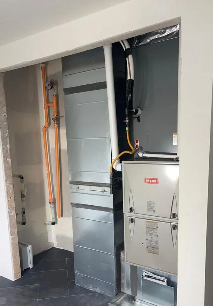 Slide of Arctic Flame