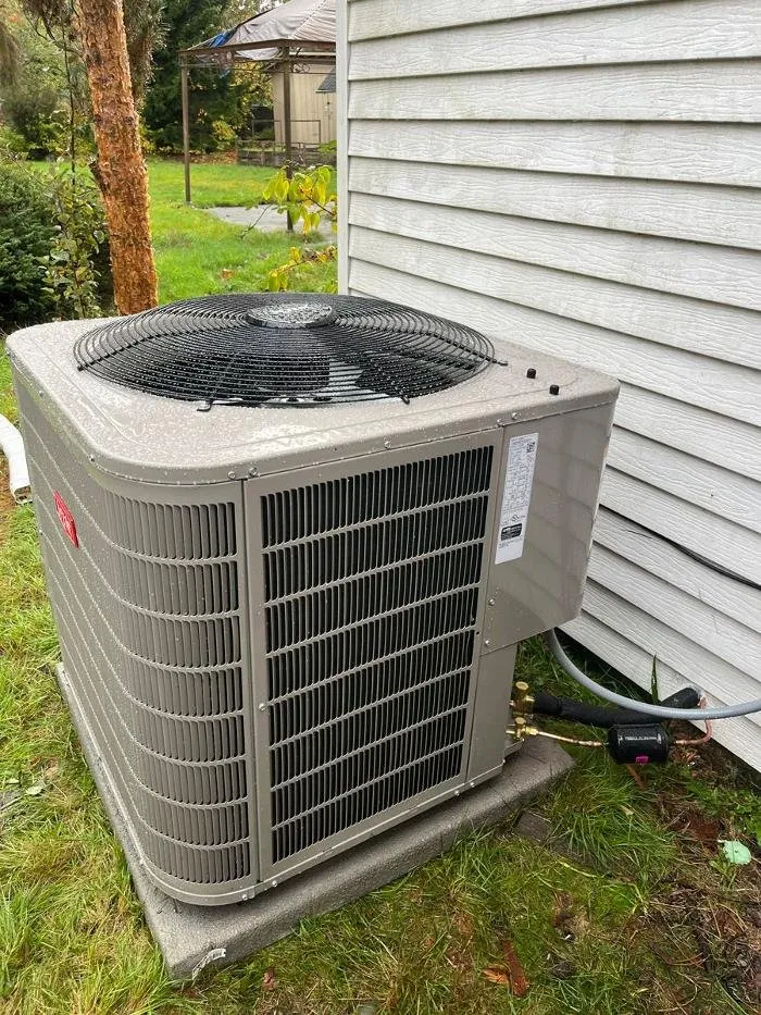 Slide of Arctic Flame