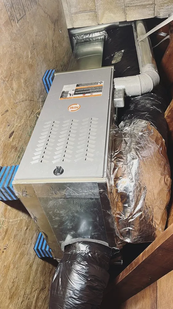 Slide of Arctic Flame