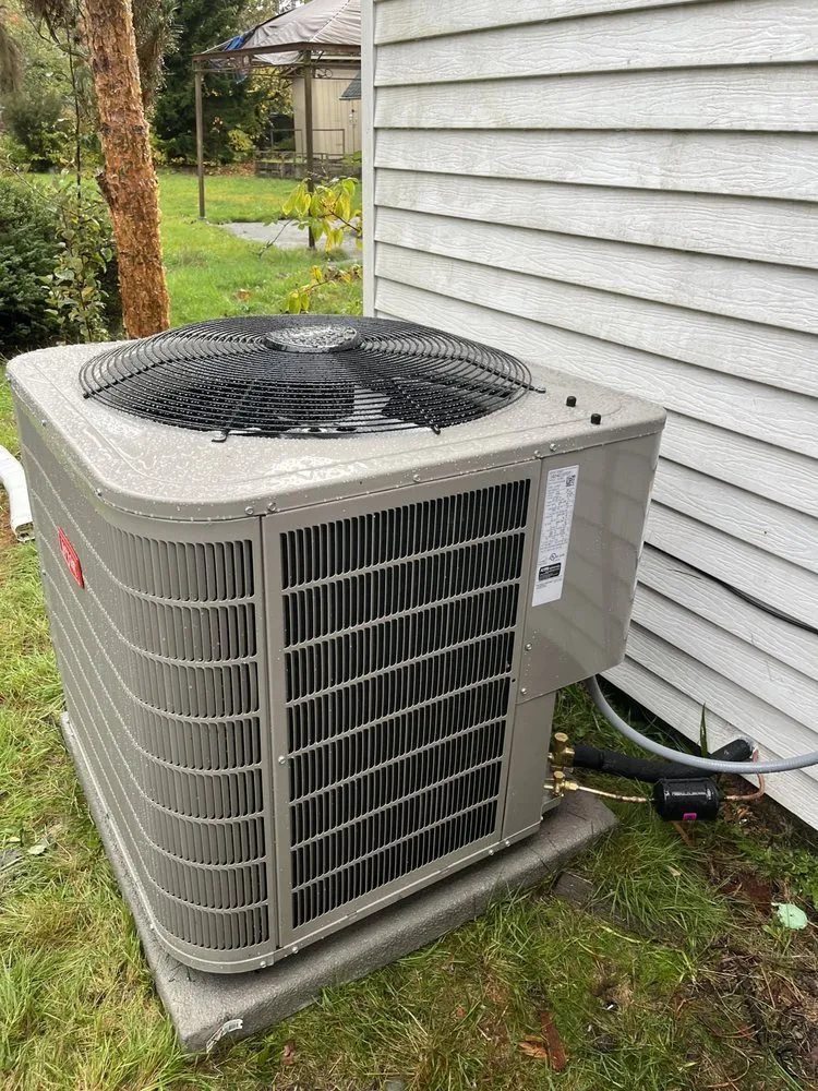 Slide of Arctic Flame