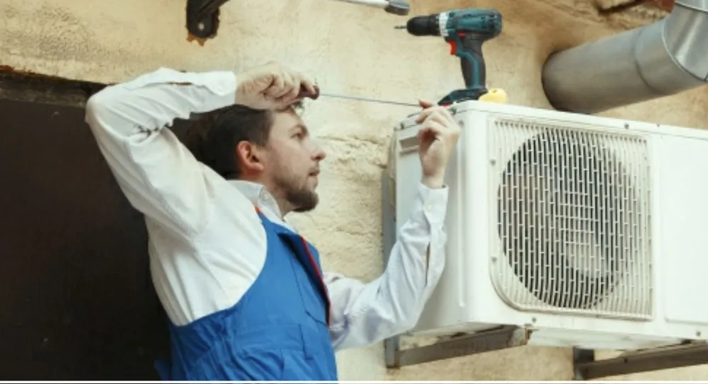 Slide of Arctic Fox Heating and Cooling