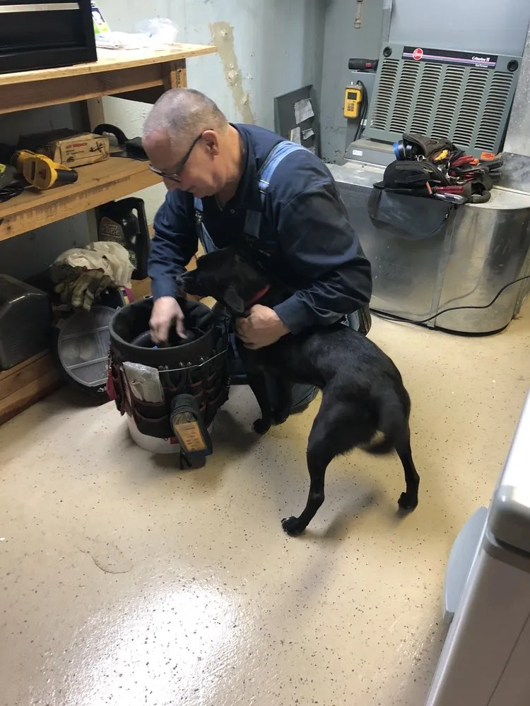 Slide of Ardmore Fresh Air