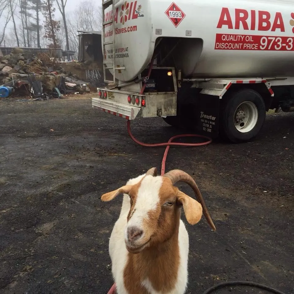 Slide of Ariba Oil Co Inc