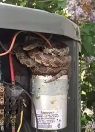 Slide of Arico Heating and Cooling