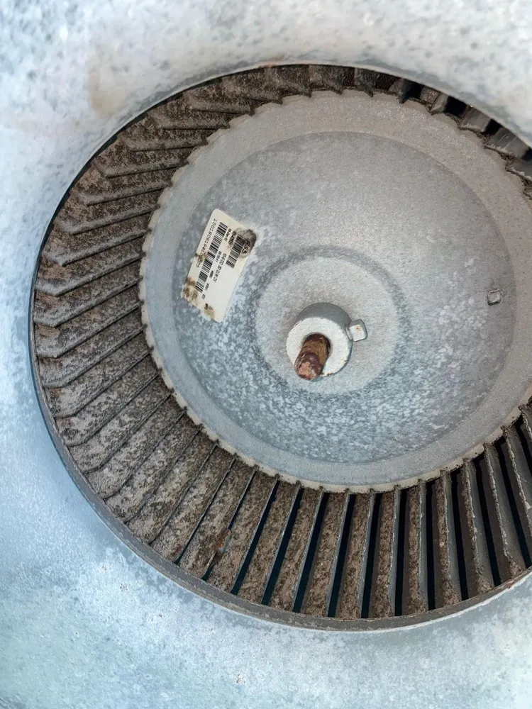 Slide of Arin Clean Fresh Air