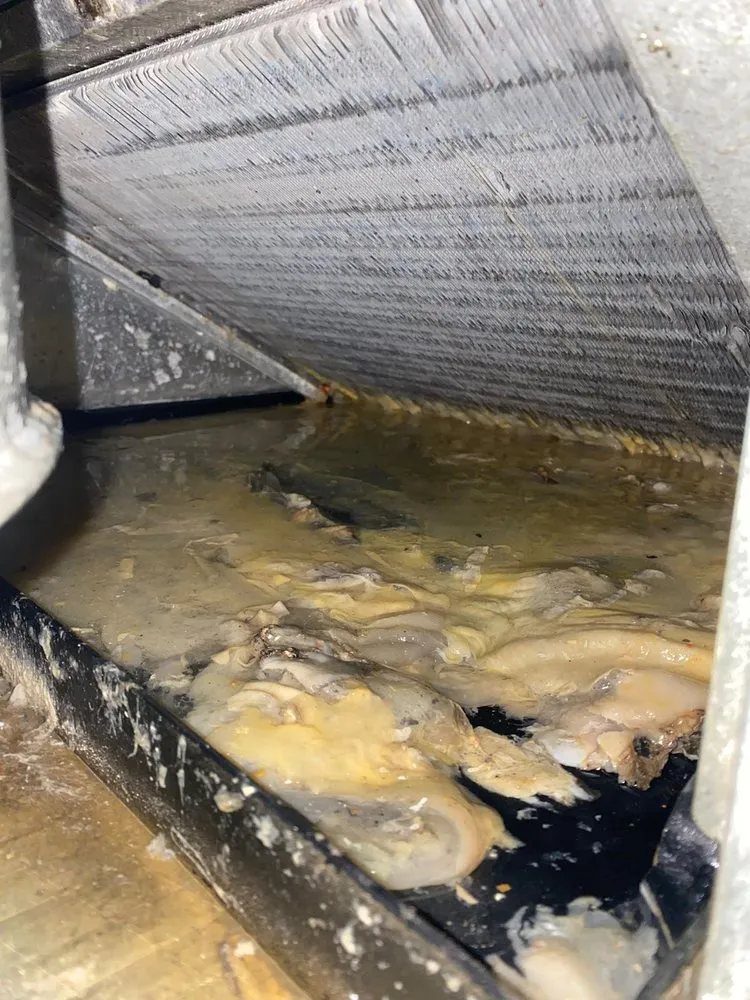 Slide of Arin Clean Fresh Air