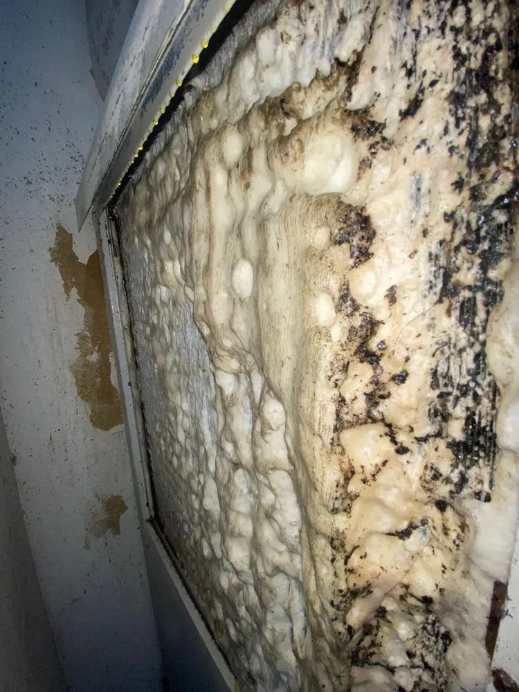 Slide of Arin Clean Fresh Air