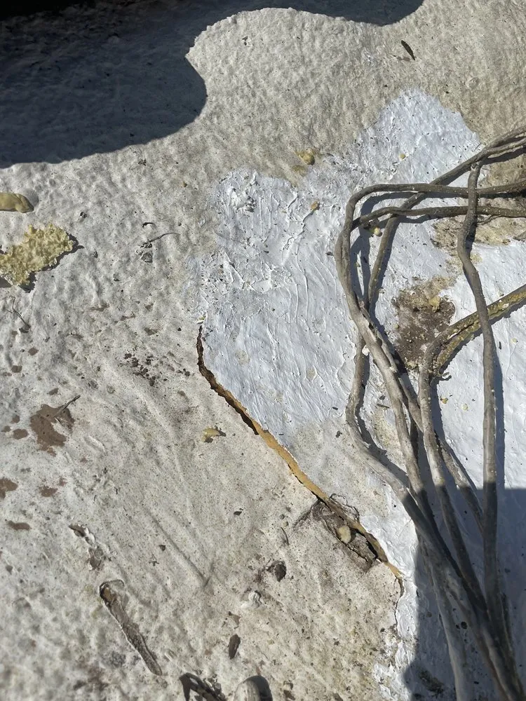 Slide of Arizona's Dukes of Air