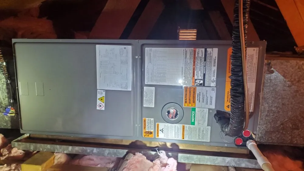 Slide of Arlindo Alves Marcelino