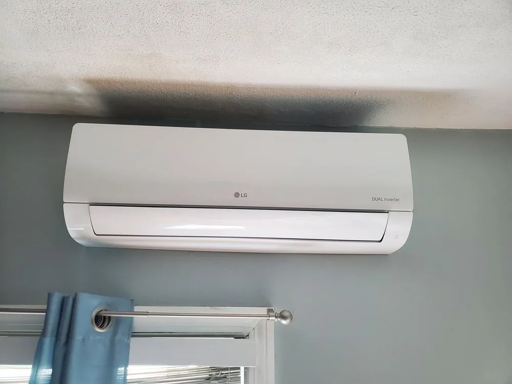 Slide of Arlindo Alves Marcelino