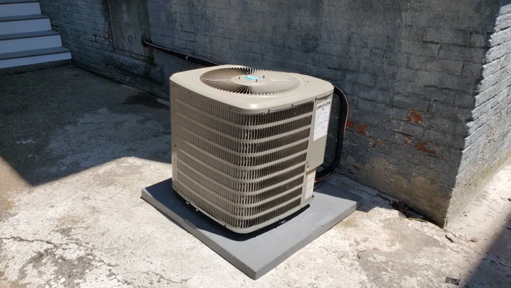 Slide of Arlindo Alves Marcelino