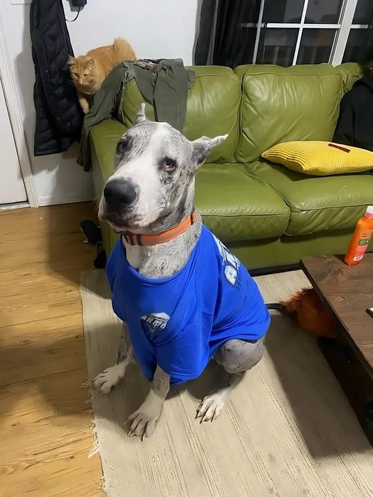 Slide of Armor Heating & Air