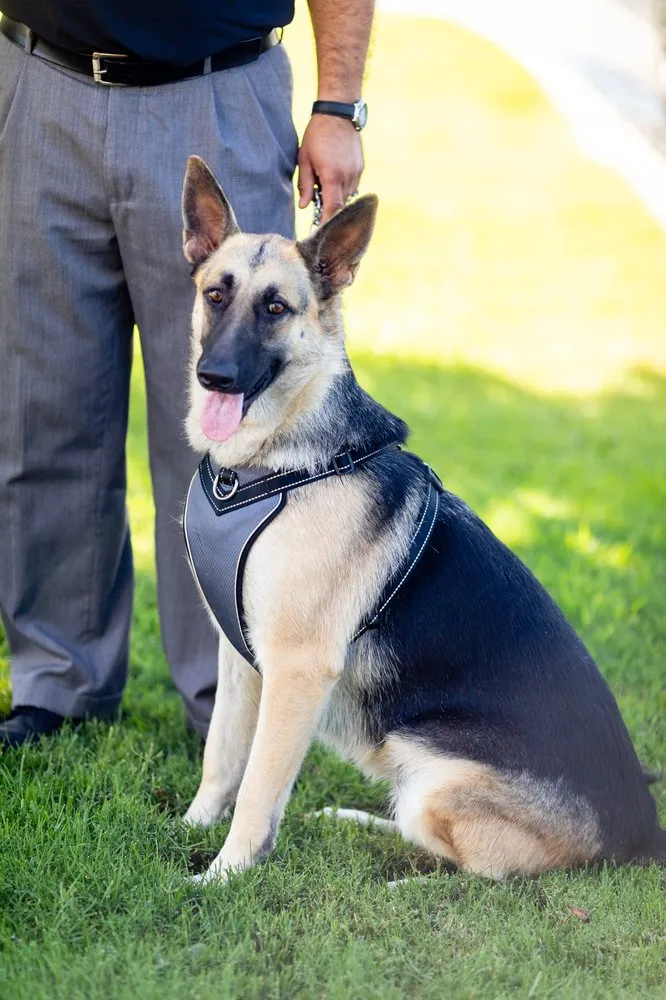 Slide of ARMS Air Conditioning And Heating