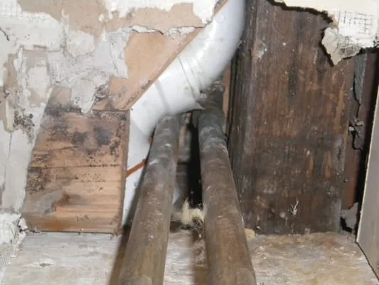 Arrow Drain Cleaning Service Logo