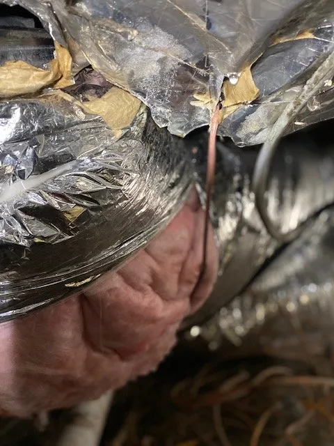 Slide of ARS / Rescue Rooter