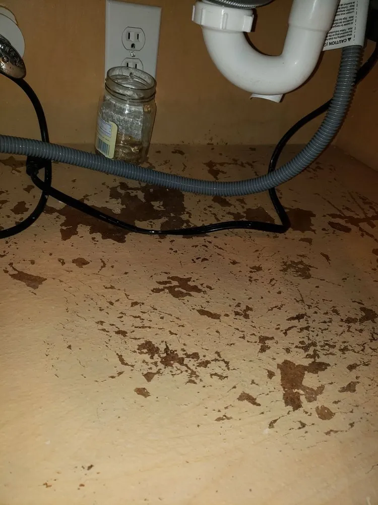 Slide of ARS / Rescue Rooter Houston