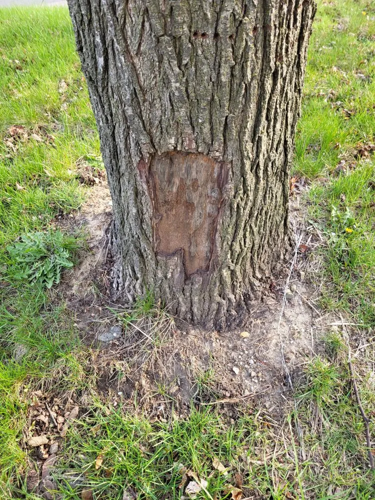 Slide of ARS / Rescue Rooter