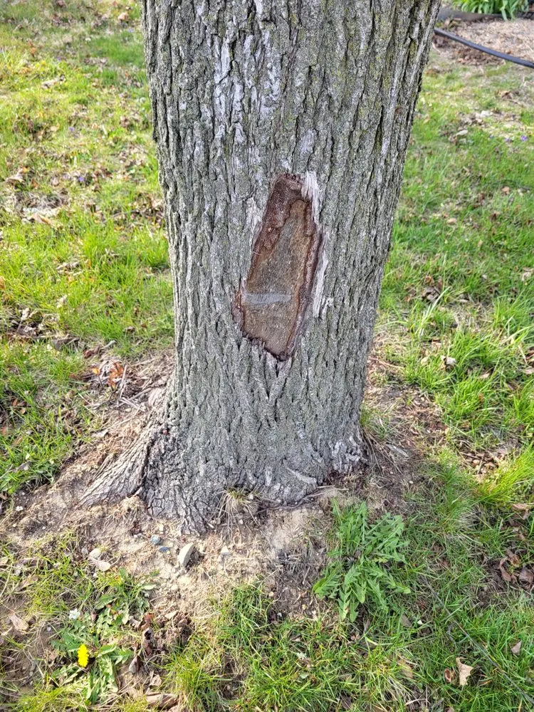 Slide of ARS / Rescue Rooter