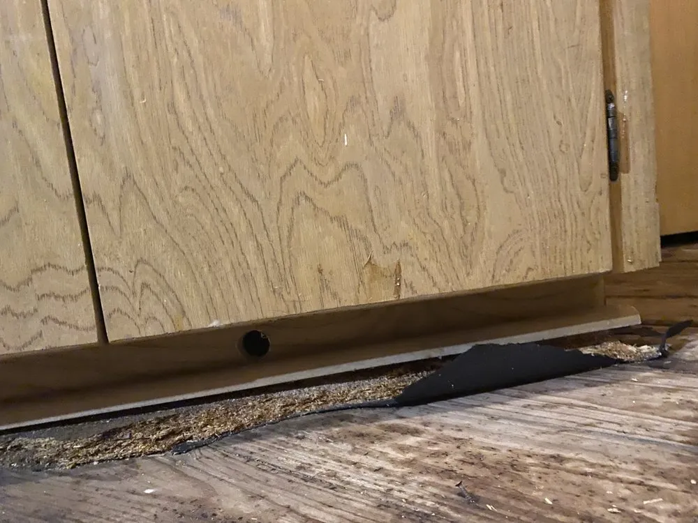 Slide of ARS Rescue Rooter