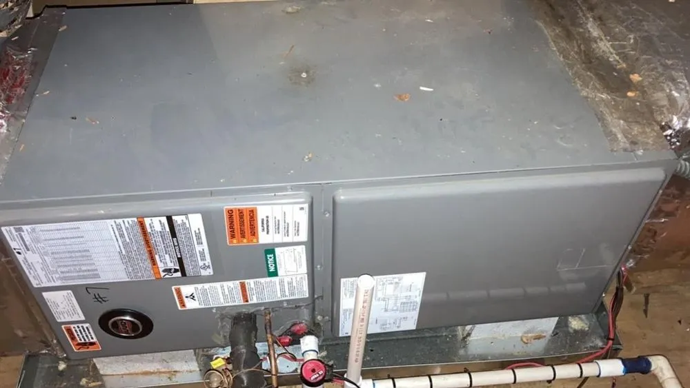 Slide of Art Newsome