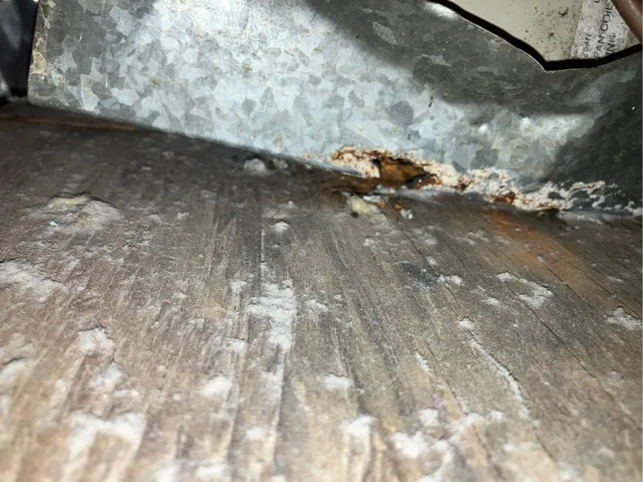 Slide of Art Newsome