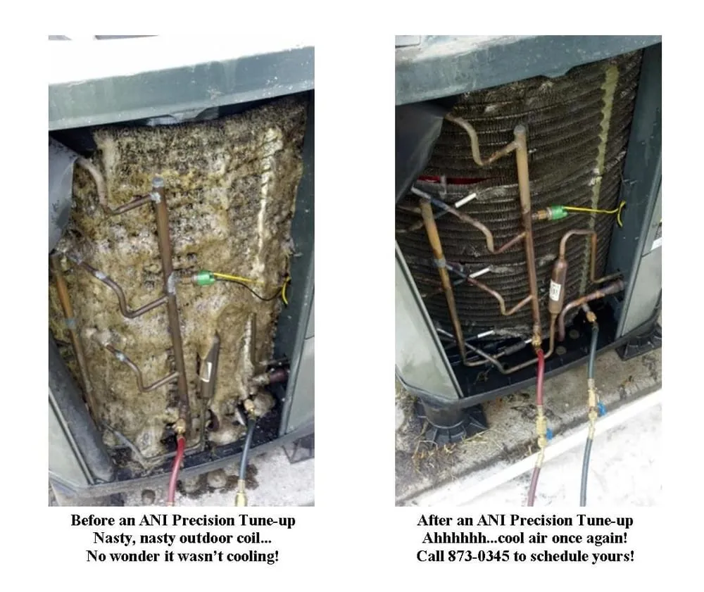 Slide of Art Newsome