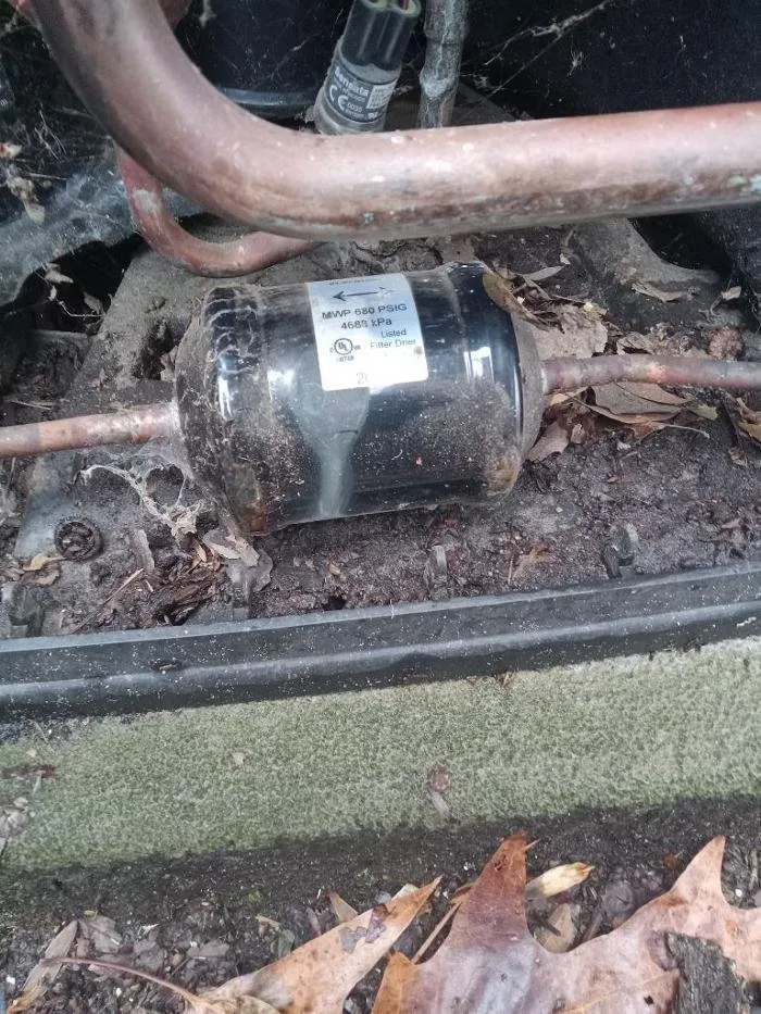 Slide of Art Newsome