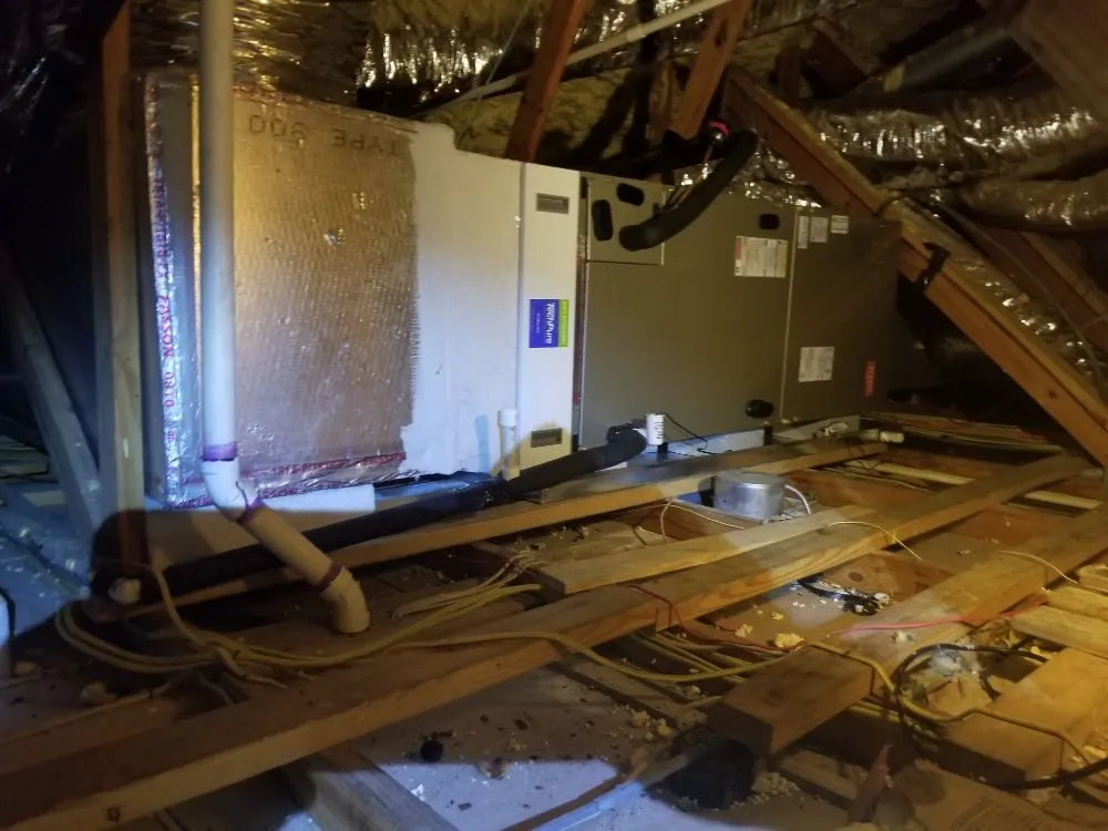 Slide of Artic Blue Cooling