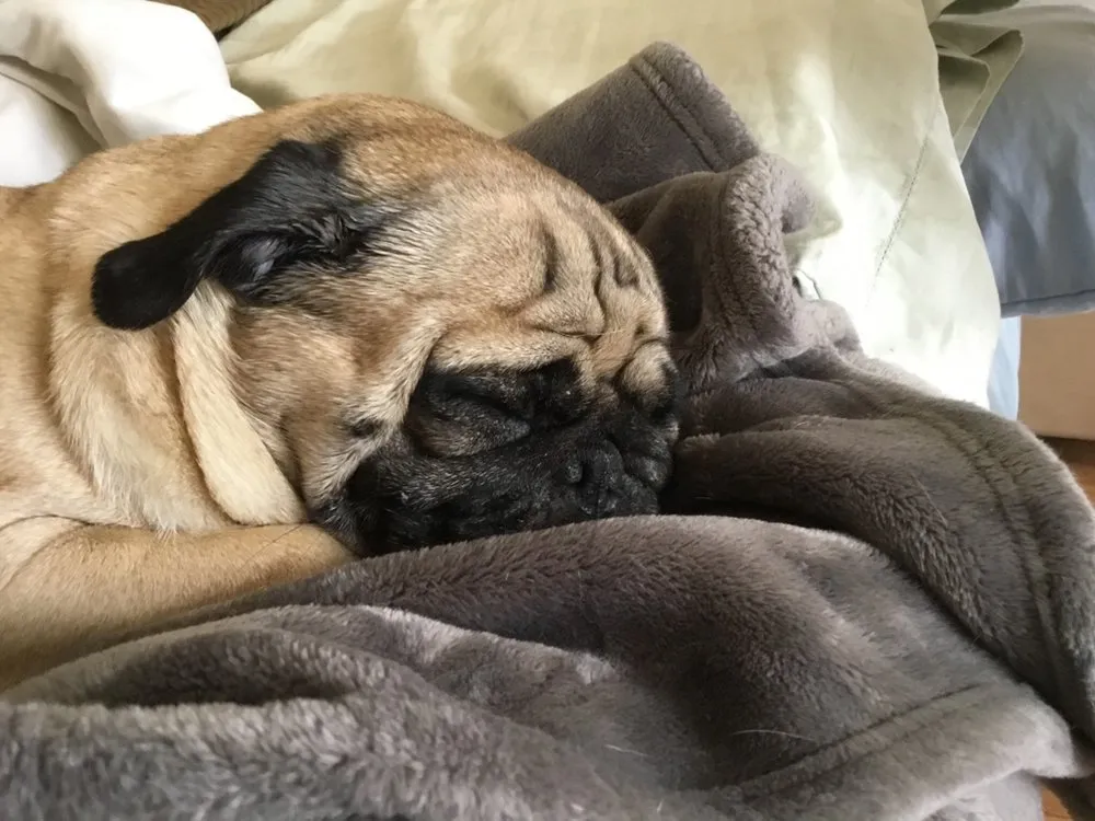 Slide of Artisan Air Heating and Cooling