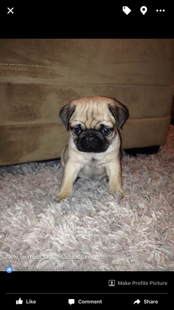 Slide of Artisan Air Heating and Cooling