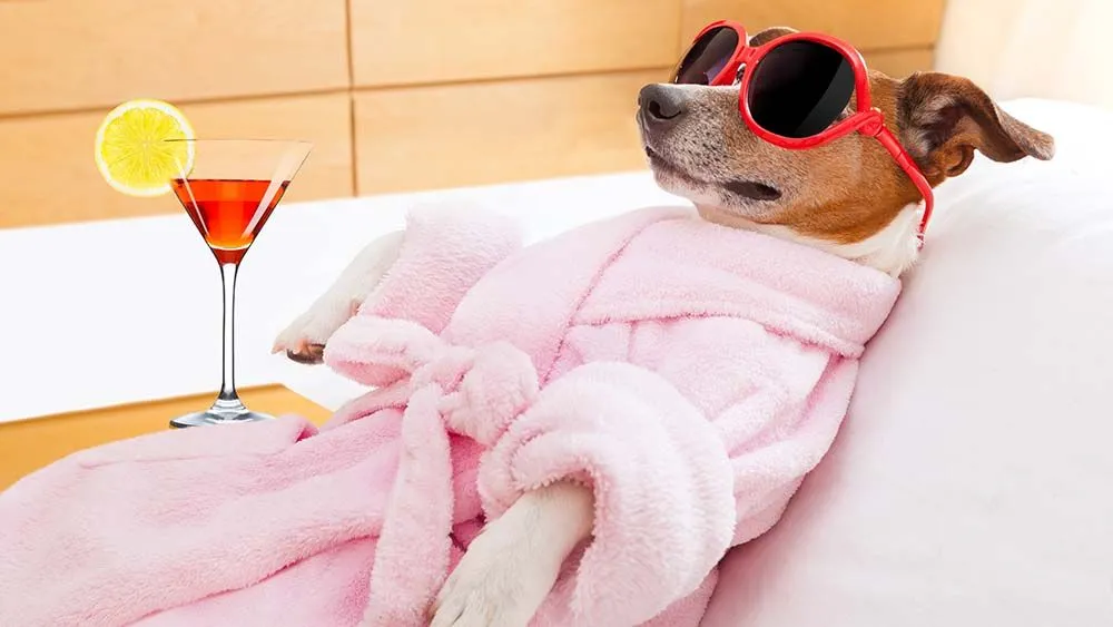 Slide of ASAP Heating & Air Conditioning